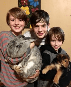 Chiaro boys with rabbit and dog