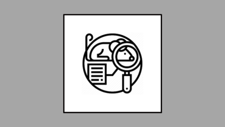 Magnifier_Mouse_icon